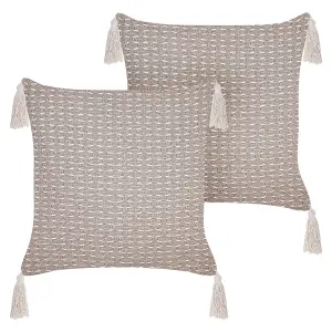 Set of 2 Cushions HAKONE 42 x 42 cm Geometric Taupe