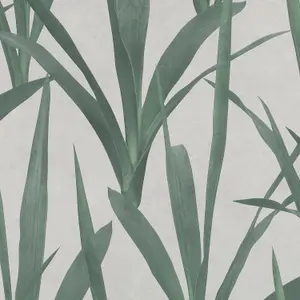 Galerie Exposed Green Grey Tropical Leaf Smooth Wallpaper