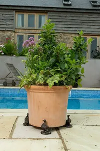 Aylesbury Duck Plant Pot Feet - Set of 3 - L8 x W7 x H9 cm