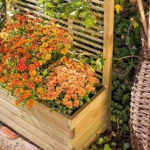 Primrose Wooden Trough Planter 90cm x 40cm With Venetian Style Trellis 1.8m