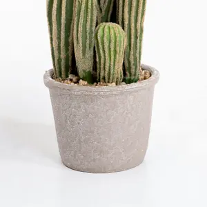 Blooming Artificial - Faux 59cm / 2ft Cactus Plant - Fake House Plant