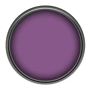 Leyland Trade Vinyl Matt Walls & Ceilings Emulsion Paint Signal Violet (RAL 4008) 1L