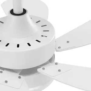 Alisha-Ann 75cm Ceiling Fan with Light Kit White