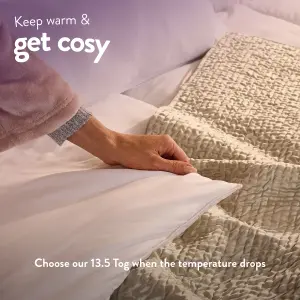 Anti Allergy 13.5 Tog Winter Super King Duvet