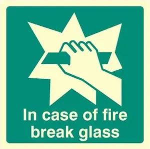 RARAION - "In Case of Fire Break Glass" Glow in the Dark Sign - 100mm x 100mm