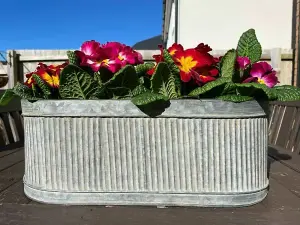 Ribbed Metal Planters Set 3 Galvanised Steel Outdoor Garden Large Flower Pots