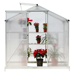 Silver Garden Plants Grow House with Aluminium Frame Large Walk-In Green House with Door and Window Silver 6x4 ft