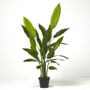 Homescapes Heliconia Plant in Pot, 140 cm Tall