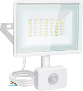 Aigostar Security Lights Outdoor Motion Sensor, 30W PIR Floodlight, 2510 Lumens IP65 Waterproof 6500K Cool White