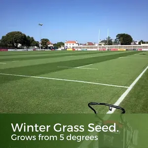 ColdPro Grass Seed - Fast Growing Winter Lawn Seed - Germinates in Low Soil Temperatures - Hard Wearing - 1kg