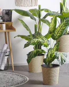 Artificial Plant DIEFFENBACHIA Green