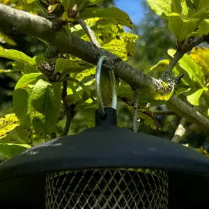 Large Hanging Steel Bird Suet and Fat Ball Feeder (Set of 2)