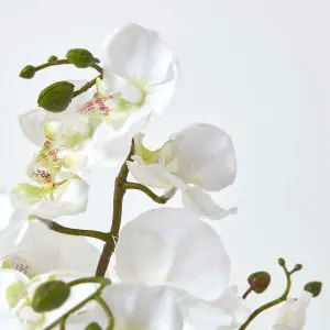 Homescapes White Phalaenopsis Artificial Orchid with Natural Base, 60 cm Tall