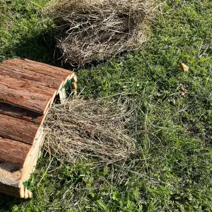 Wooden Hedgehog House Hogitat With Bark Roof & Nesting Straw