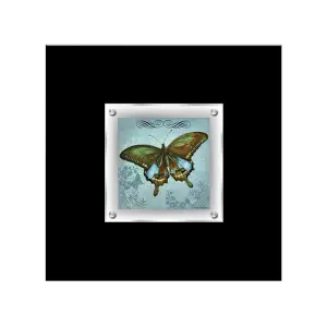 Interiors by Premier Butterfly 1 Framed Wall Art