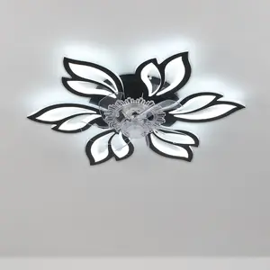 Armentha 65cm Ceiling Fan with LED Lights Black