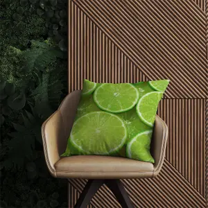 Fresh Limes Outdoor Cushion 60cm x 60cm