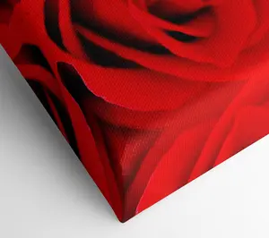 Red Rose Close-Up Twins Canvas Print Wall Art - Medium 20 x 32 Inches