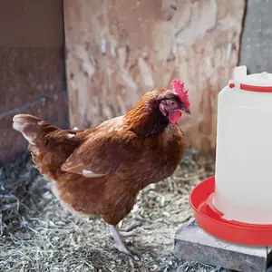 URBNLIVING 3L Chicken Large Drinker Water Feeder Poultry Quails Bird Hen Duck with Handle Red & White