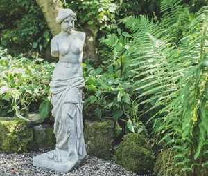 Medium Venus  Classic Stone Cast Garden Ornament Statuary