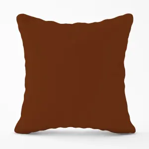 Chocolate Brown Cushions 45cm x 45cm