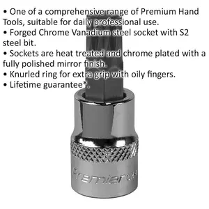 M10 Chrome Vanadium Forged Spline Socket Bit - 3/8 Inch Drive for Precision Wrenching