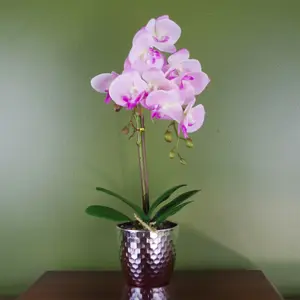 Orchid Artificial Light Pink Silver 50cm Phalaenopsis Botanik