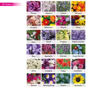 Pronto Seed Bumper Seeds Gift Bag, Flower, Herb & Vegetable Seeds (69 Varieties)