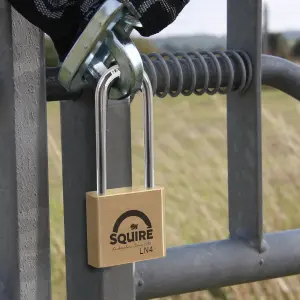 Squire Lion Block Brass Long shackle Padlock (W)39.5mm