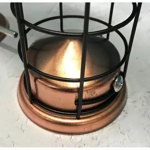 Large Copper Style Hanging Bird Suet Fat Ball Feeder