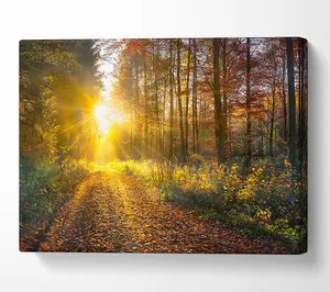 Woodland Walk In The Autumn Canvas Print Wall Art - Medium 20 x 32 Inches