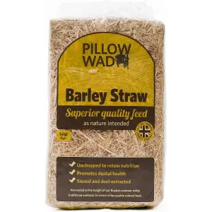 3 Bags (2kg) Barley Straw Bedding Unchopped Soft Animal Bedding For Chickens, Rabbits & Tortoise