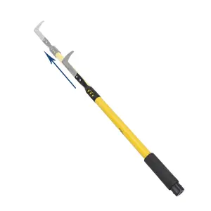 Telescopic Patio Paving Garden Slab Weeding Remover Tool