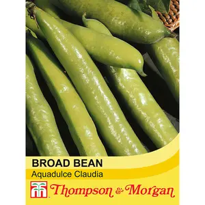 Bean (Broad Bean) Aquadulce Claudia 1 Seed Packet (45 Seeds)