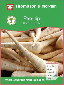 Parsnip F1 Albion 1 Seed Packet (380 Seeds)