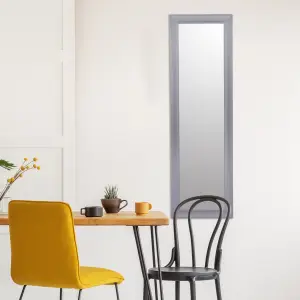 Grey Rectangular Wall-mounted Framed mirror, (H)131cm (W)41cm