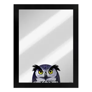 Inquisitive Creatures Owl Mirrored Plaque Black/Silver (One Size)