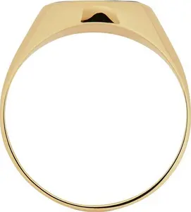 Revere Mens 9Ct Yellow Gold Onyx Stripe Ring - P