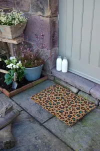 Multi Colour Leopard Print Doormat (60 x 40cm)