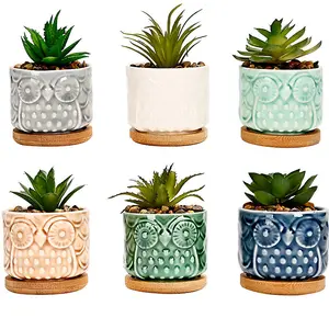 simpa 6PC Colour Glazed Owl Ceramic Plant Pots with Bamboo Base