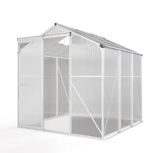 Polycarbonate Greenhouse Aluminium Frame Walk In Garden Green House with Window Open Silver 6x6 ft