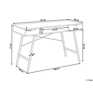 Home Office Desk with Storage Light Wood CLARITA