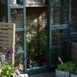 Forest Garden Georgian wall Greenhouse with Auto vent