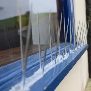 Bird/Pigeon Plastic Deterrent Spikes 5m Anti-Birds Control