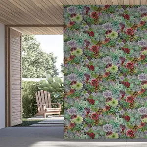 Arthouse Succulent Floral Multicoloured Flower Living Wall Multi Wallpaper 259402