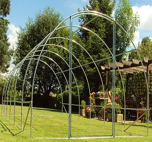 6m x 3m (20' x 10' approx) Pro+ Poly Tunnel Frame Only