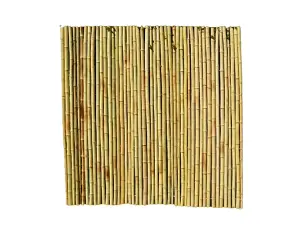 Roll Screen for Garden Fencing - Bamboo - L200 x W3 x H200 cm  - Moso