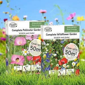 Pronto Seed Wildflower Seed Shaker Twin Pack 100m² Coverage Butterfly and Bee Attracting Wild Flower Seeds fo Planting UK