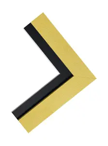 Metro Gold Frame with Black Mount 40 x 50CM Image Size 30 x 40 CM