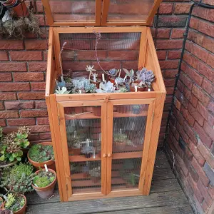 Wooden 3 Tier Mini Greenhouse with Doors